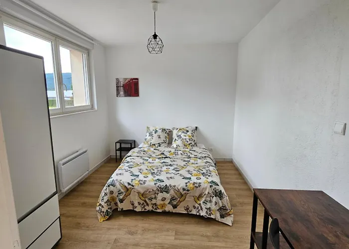 公寓 Les Bruyeres 勒米尔蒙